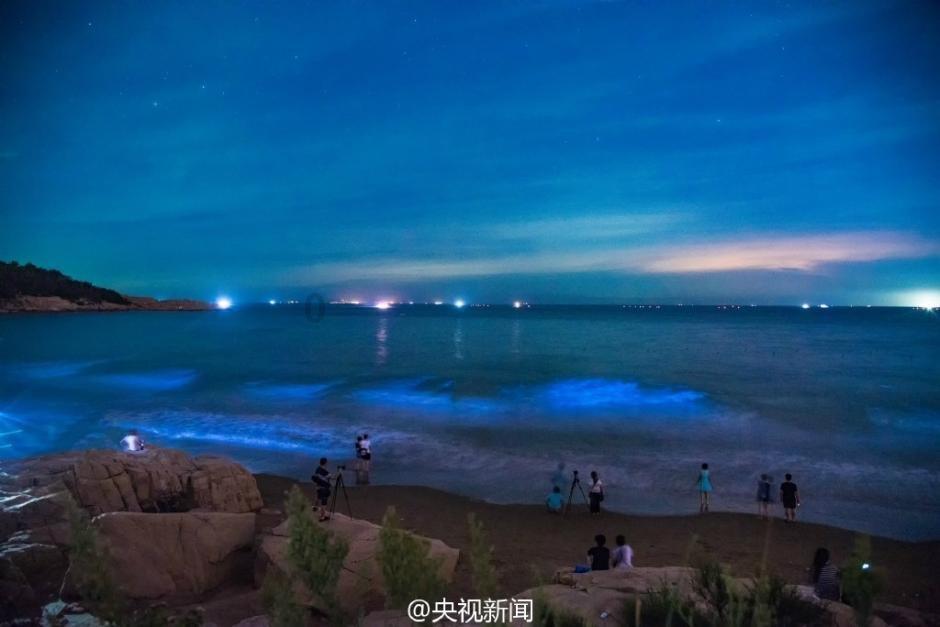 陈坤谈“行走的力量”感悟 分享新片《入型入格》