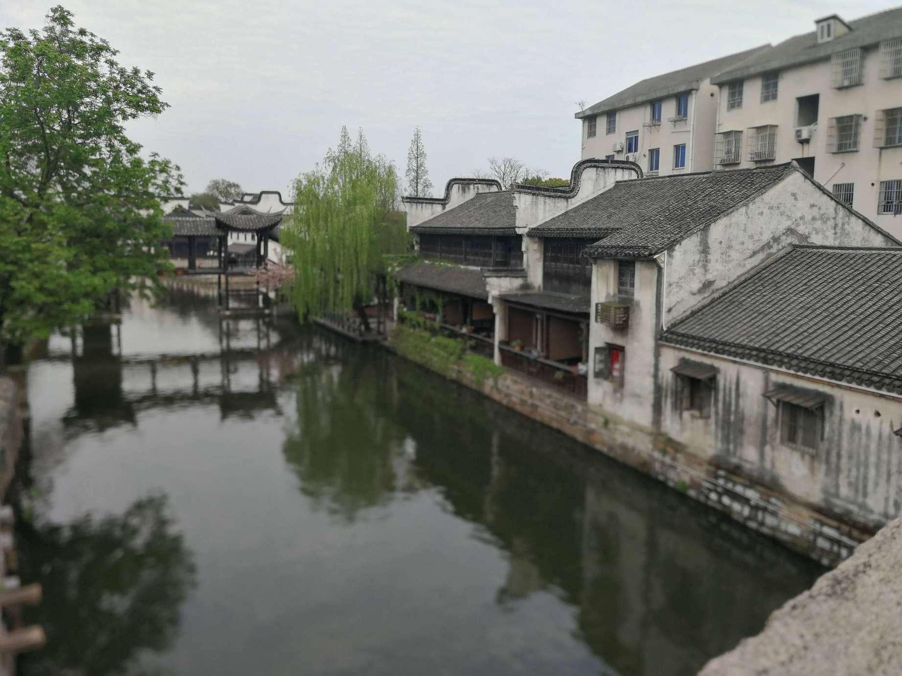 如何委婉的向父母要回自己的压岁钱呢？游戏画面